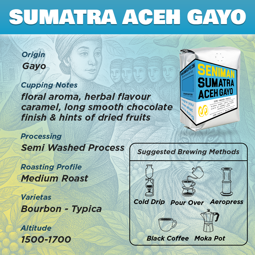 Sumatra Aceh Gayo Semi Washed 1kg - Image 4