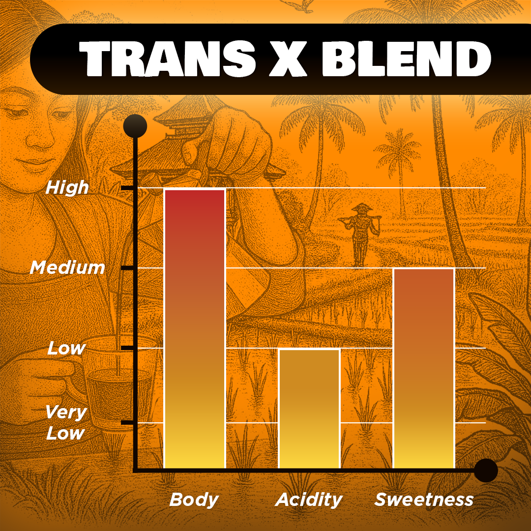 20 pcs Seniman Capsules Trans-RX - Image 3