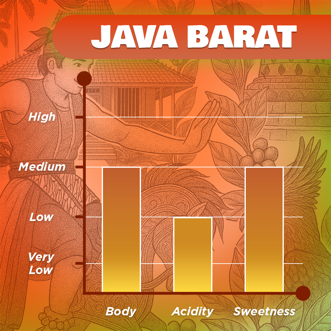 Java Barat Fully Washed 1kg - Image 5